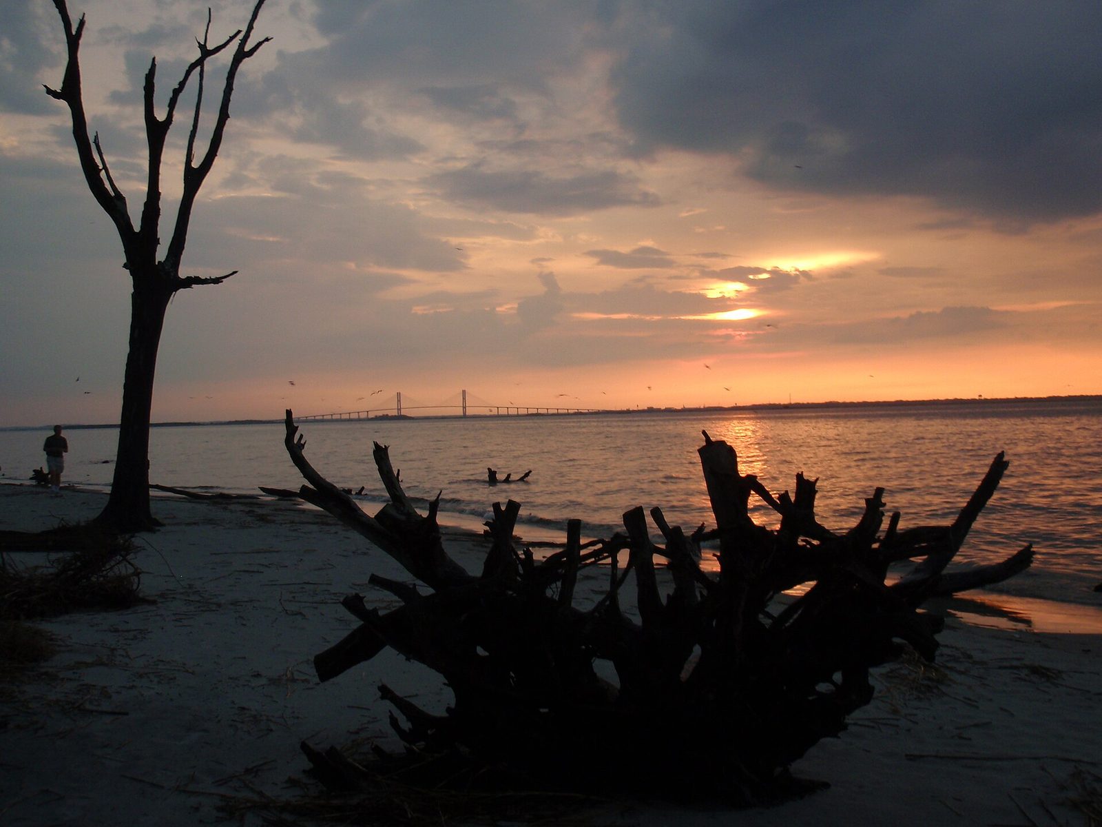 Golden Isles Family Week