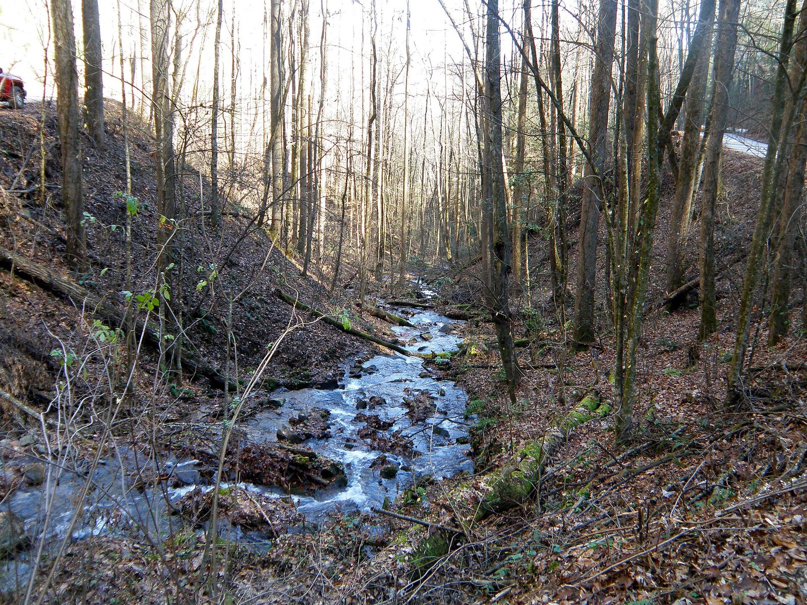 Trout Run Cabin